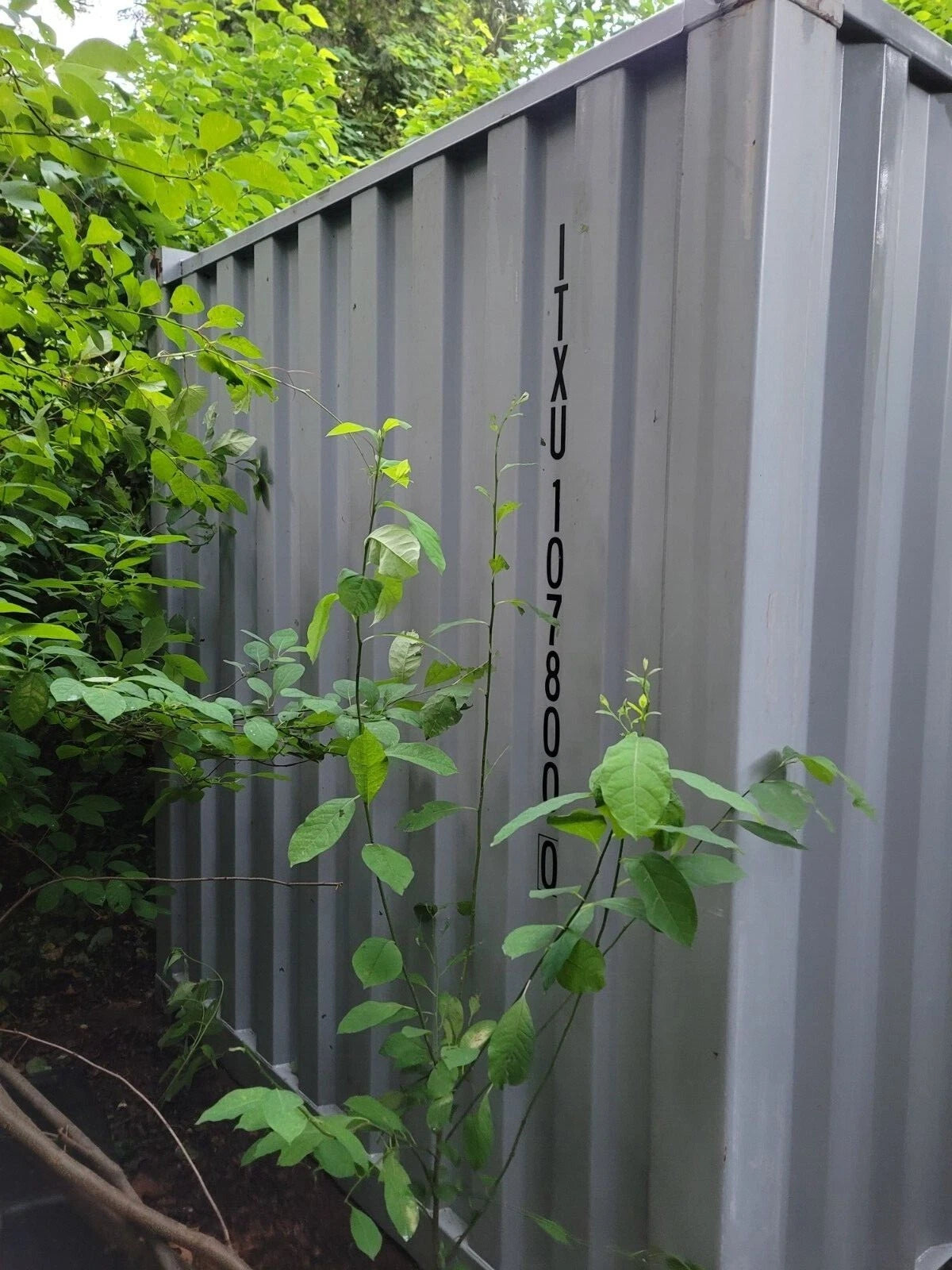20 ft Shipping Container, photo 3